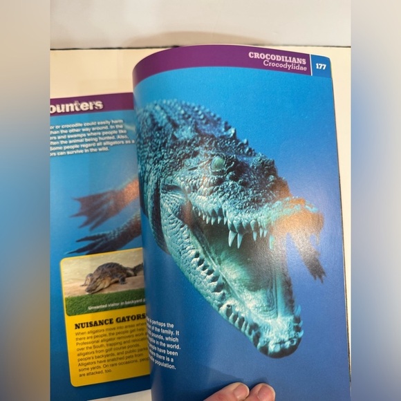 Discovery Snakeopedia: The Complete Guide to Everything Snakes Book for Kids - Picture 9 of 9